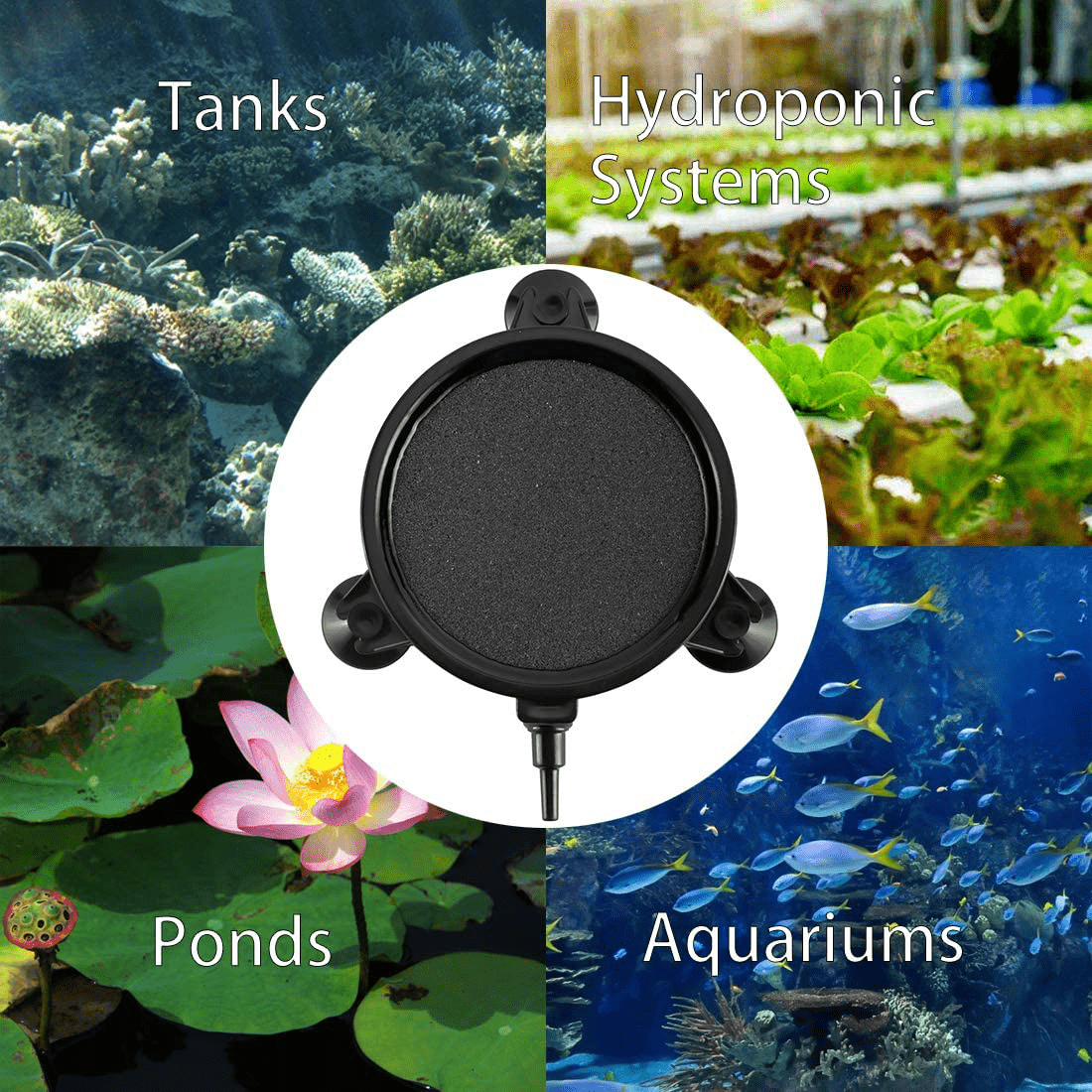 Yaegoo 4 Inch Air Stone Disc with Shell and Suction Cups, Bubble Diffuser with Suction Cups for Hydroponics Aquarium Fish Tank Pump, 2 Pack Animals & Pet Supplies > Pet Supplies > Fish Supplies > Aquarium Air Stones & Diffusers Yaegoo   