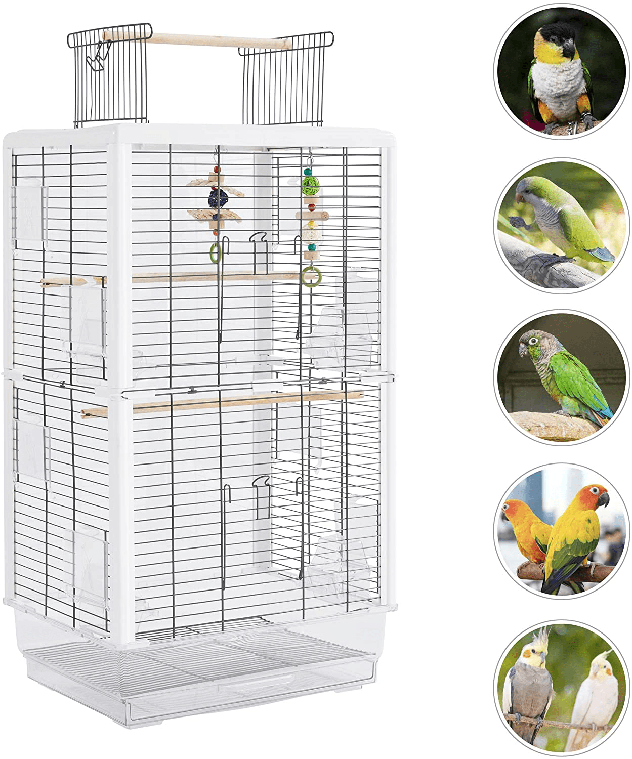 Yaheetech 32Inch Transparent Bird Cage Open Top Small Parrot Cage for Parakeets Cockatiels Lovebirds Medium Small Birds Animals & Pet Supplies > Pet Supplies > Bird Supplies > Bird Cages & Stands Yaheetech   