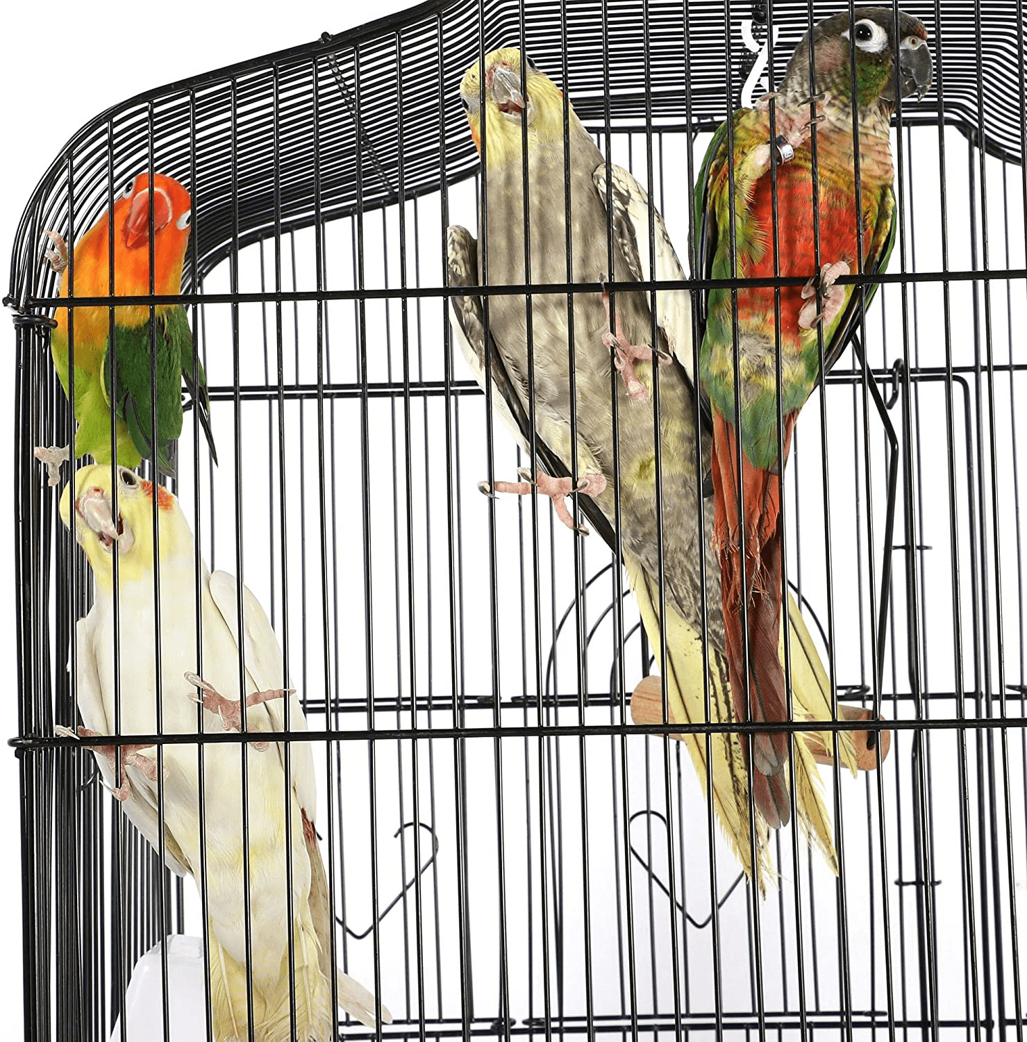 Yaheetech 64-Inch Open Play Top Rolling Bird Cage for Small Parrots Cockatiels Sun Parakeets Conure Finches Canary Budgies Lovebirds Medium Size Travel Bird Cage with Removable Stand Animals & Pet Supplies > Pet Supplies > Bird Supplies > Bird Cages & Stands Yaheetech   