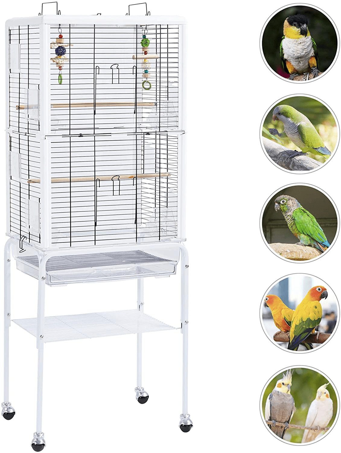 Yaheetech Play Open Top Transparent Clear Bird Cage Birdcage for Small Birds Parakeets Sun Conures Lovebirds Canaries Cockatiels Green Cheeks Finches W/Toys & Ladder Rolling Stand Animals & Pet Supplies > Pet Supplies > Bird Supplies > Bird Cages & Stands Yaheetech   