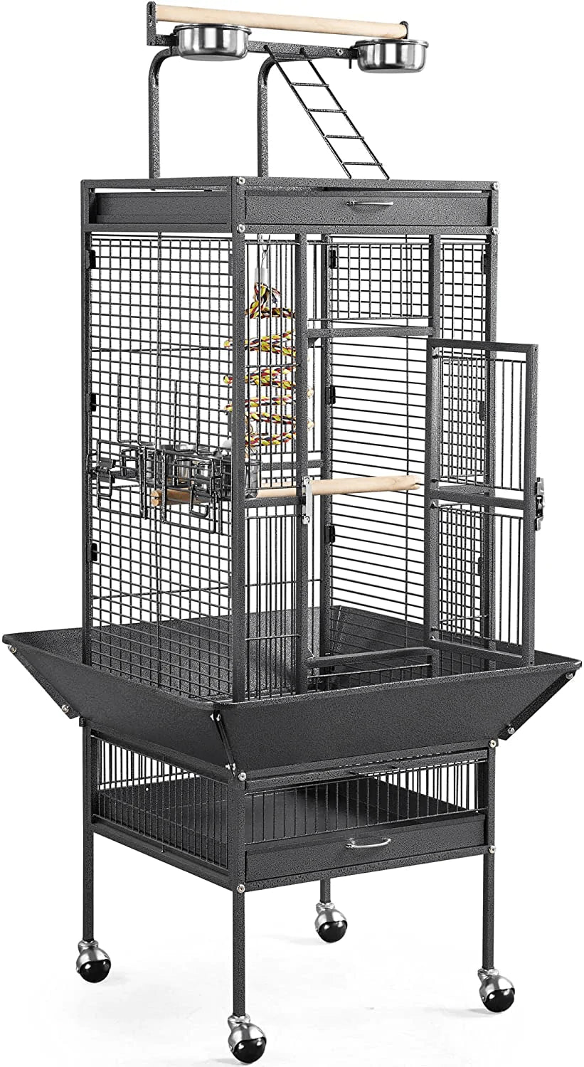 Large bird cages best sale for parakeets