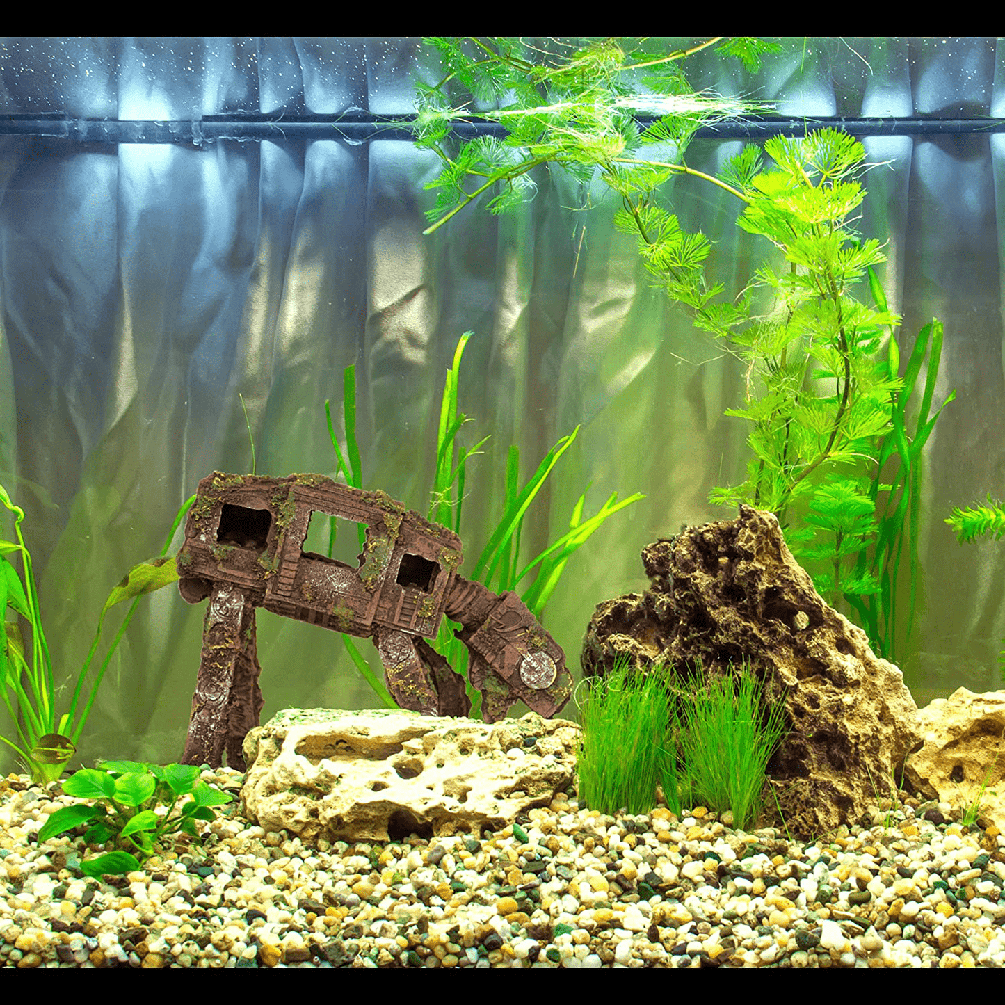 Amazing DIY Nano Planted Aquarium for Betta Koi 4.6 Gallon, No Co2 | Mr Decor  Aquarium #94 - YouTube