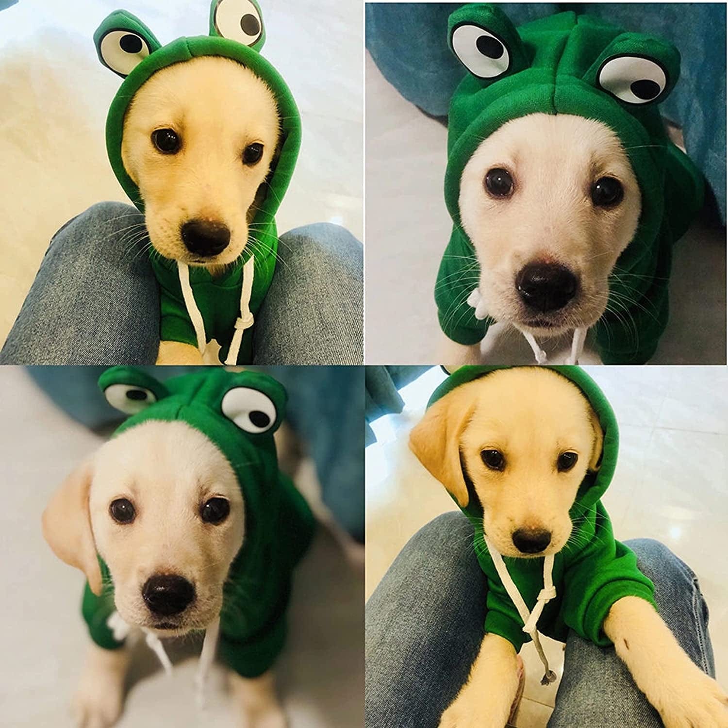 YAODHAOD Dog Hoodie, Pet Clothes Frog Shape Warm Jacket Pet Cold Weather Sweaters Clothes Winter Dog Clothes Warm Sweatshirt Coat Chihuahua (Frog, Small) Animals & Pet Supplies > Pet Supplies > Dog Supplies > Dog Apparel YAODHAOD   