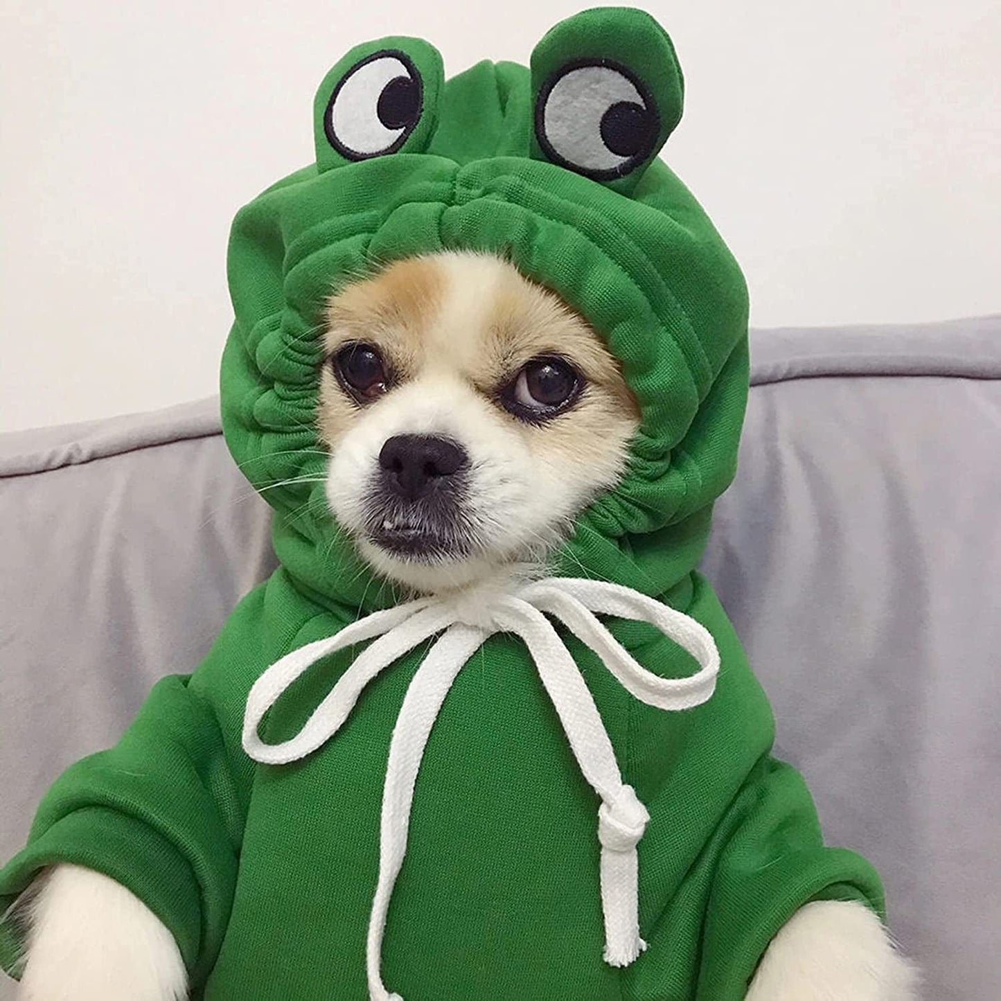 YAODHAOD Dog Hoodie, Pet Clothes Frog Shape Warm Jacket Pet Cold Weather Sweaters Clothes Winter Dog Clothes Warm Sweatshirt Coat Chihuahua (Frog, Small) Animals & Pet Supplies > Pet Supplies > Dog Supplies > Dog Apparel YAODHAOD   