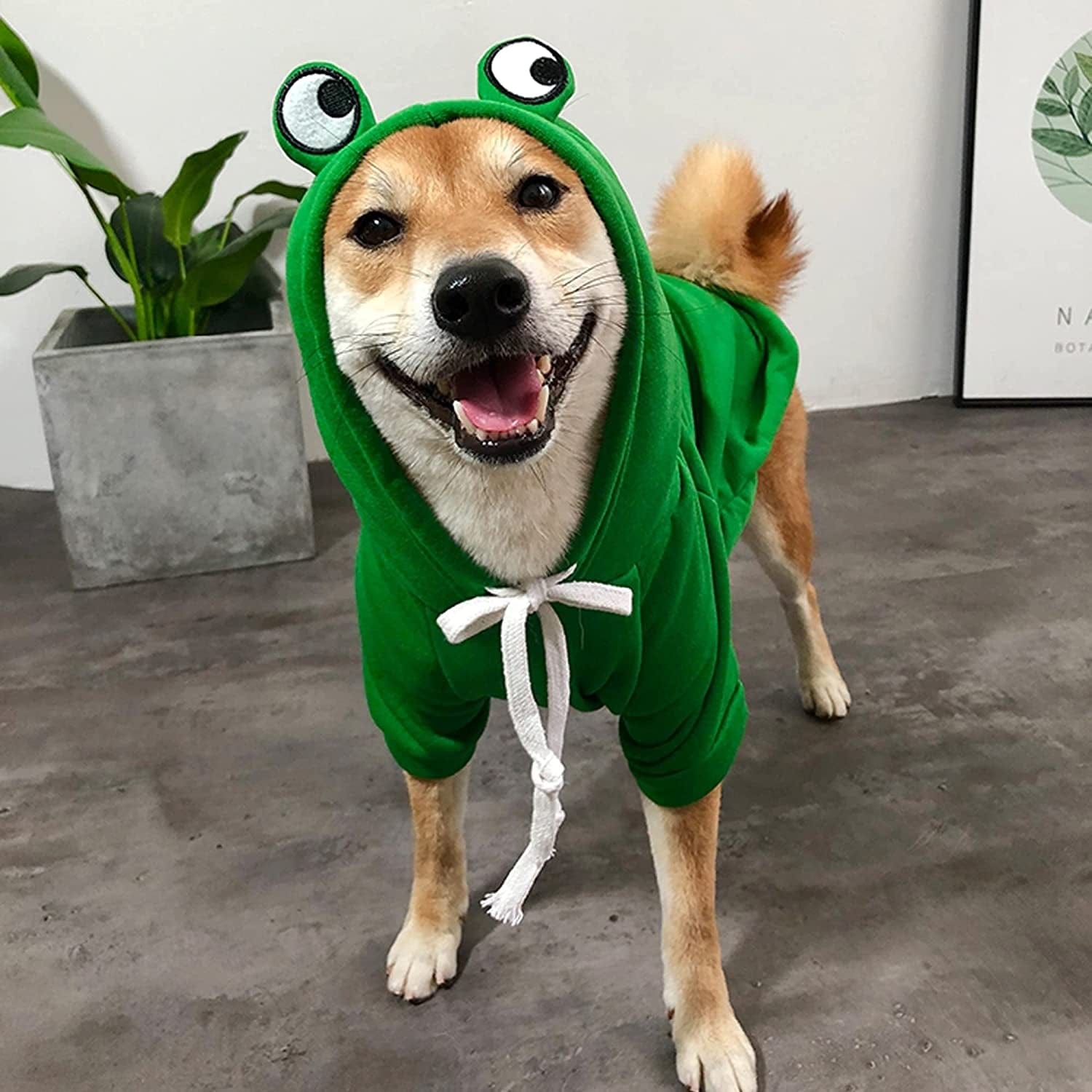 YAODHAOD Dog Hoodie, Pet Clothes Frog Shape Warm Jacket Pet Cold Weather Sweaters Clothes Winter Dog Clothes Warm Sweatshirt Coat Chihuahua (Frog, Small) Animals & Pet Supplies > Pet Supplies > Dog Supplies > Dog Apparel YAODHAOD   