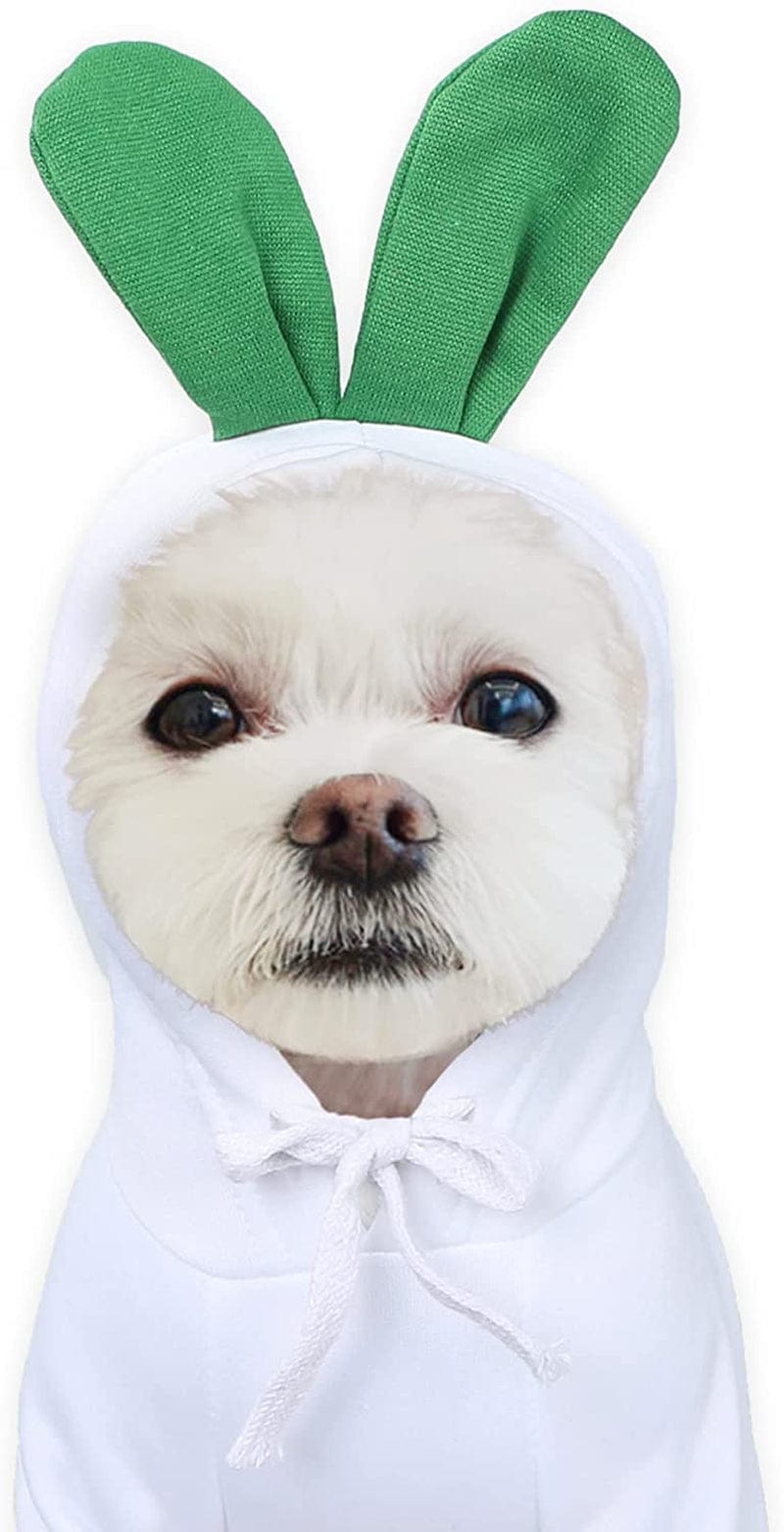 YAODHAOD Dog Hoodie, Pet Clothes Frog Shape Warm Jacket Pet Cold Weather Sweaters Clothes Winter Dog Clothes Warm Sweatshirt Coat Chihuahua (Frog, Small) Animals & Pet Supplies > Pet Supplies > Dog Supplies > Dog Apparel YAODHAOD Rabbit Small 