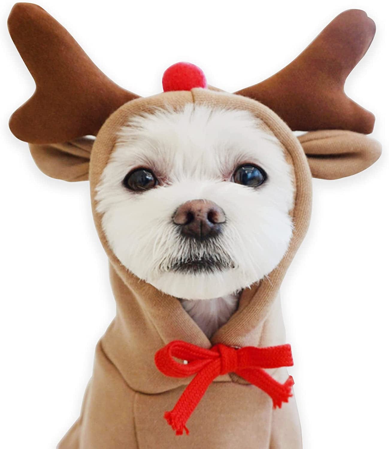 YAODHAOD Dog Hoodie, Pet Clothes Frog Shape Warm Jacket Pet Cold Weather Sweaters Clothes Winter Dog Clothes Warm Sweatshirt Coat Chihuahua (Frog, Small) Animals & Pet Supplies > Pet Supplies > Dog Supplies > Dog Apparel YAODHAOD Elk Small 