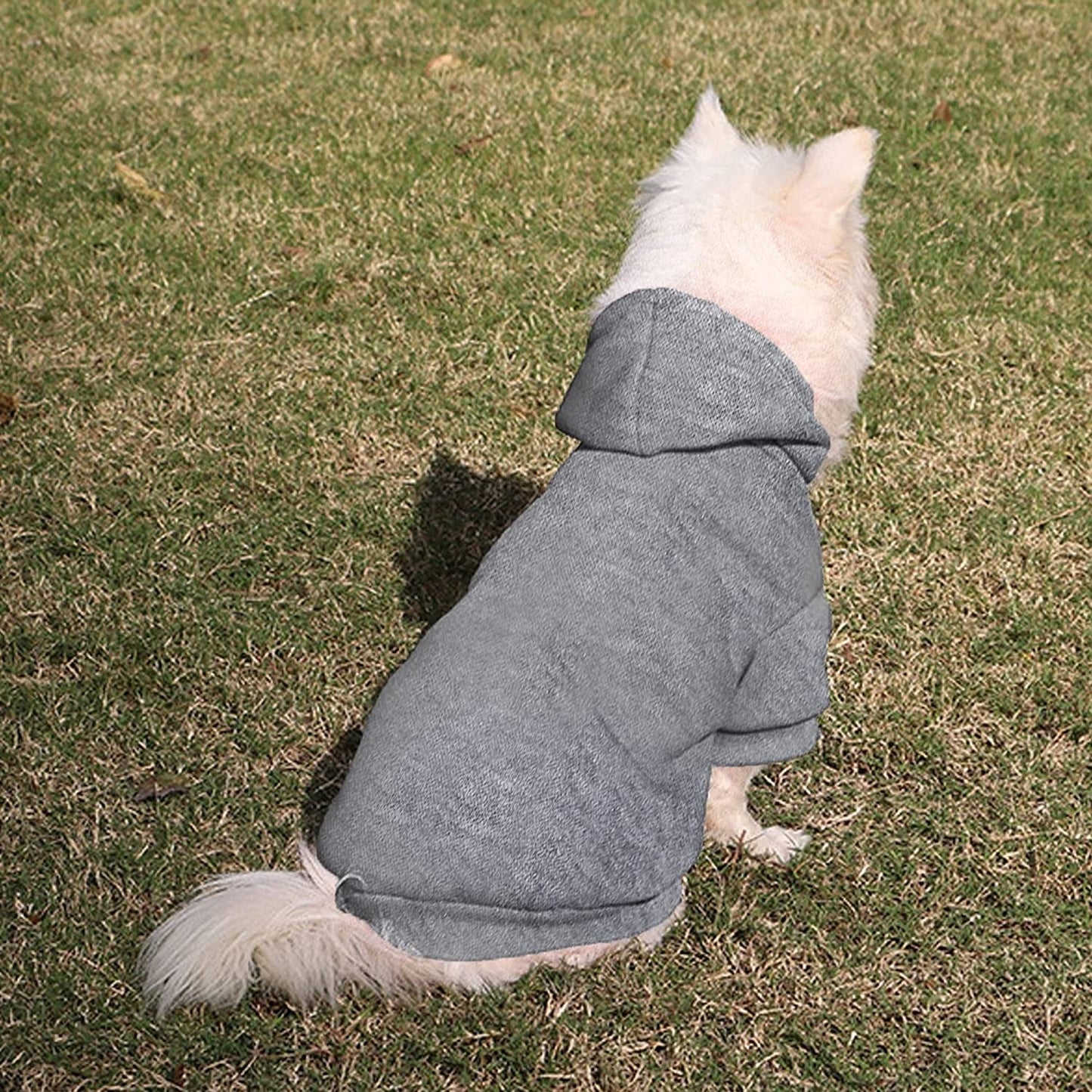 YAODHAOD Dog Hoodie, Winter Dog Sweaters Pet Warm Sweatshirt Cold Weather Puppy Clothes Coat for Ultra Small and Small Hooded Outfits Cat Apparel (M, Gray) Animals & Pet Supplies > Pet Supplies > Dog Supplies > Dog Apparel YAODHAOD   