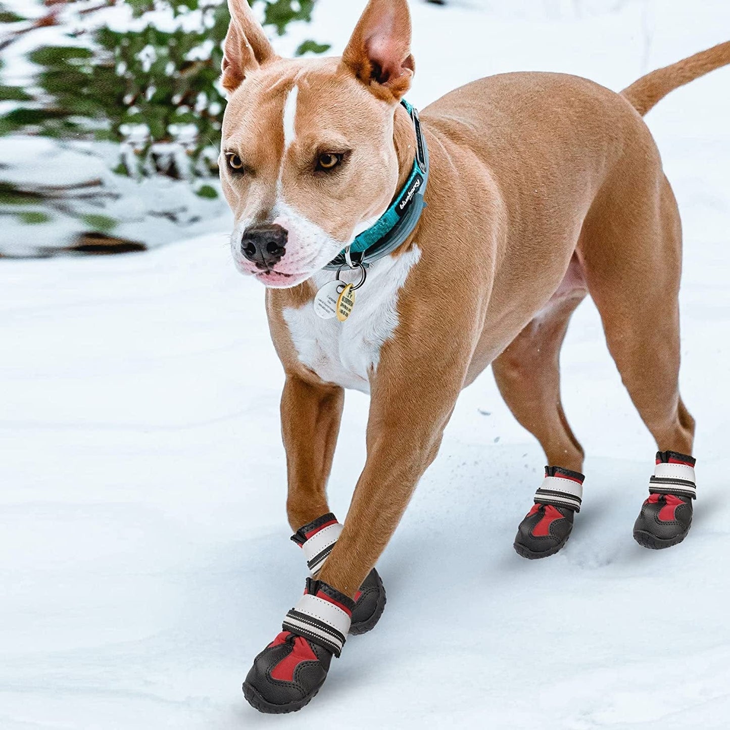 YAODHAOD Dog Shoes Dog Boots & Paw Protectors Waterproof Rugged Anti-Slip Sole Outdoor Dog Hiking Boots with Reflective Strips Winter Snow Booties for Medium Large Dogs 4Pcs/Set (Red, Size 4) Animals & Pet Supplies > Pet Supplies > Dog Supplies > Dog Apparel YAODHAOD   