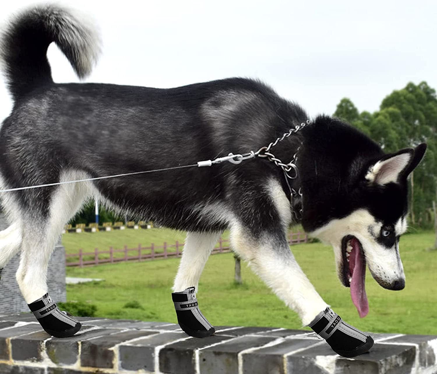 YAODHAOD Dog Shoes for Hot Pavement Waterproof Breathable Dog Summer Boots Anti-Slip Puppy Hiking Booties Puppy Shoes Paw Protector for Small Medium Dogs 4PCS (Size 1: 1.1"X0.9"(L*W), Black) Animals & Pet Supplies > Pet Supplies > Dog Supplies > Dog Apparel YAODHAOD   