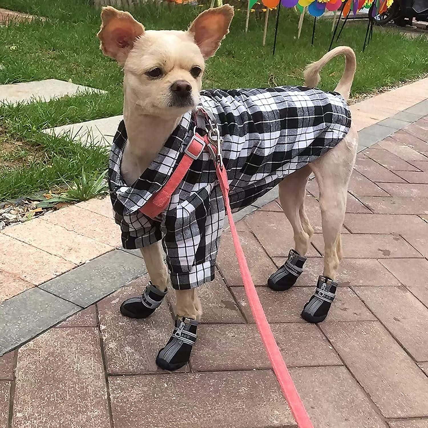 YAODHAOD Dog Shoes for Hot Pavement Waterproof Breathable Dog Summer Boots Anti-Slip Puppy Hiking Booties Puppy Shoes Paw Protector for Small Medium Dogs 4PCS (Size 1: 1.1"X0.9"(L*W), Black) Animals & Pet Supplies > Pet Supplies > Dog Supplies > Dog Apparel YAODHAOD   