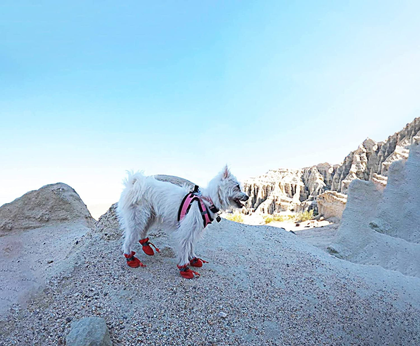 YAODHAOD Dog Shoes for Small Dogs Anti-Slip Dogs Boots & Paw Protector with Reflective Straps Winter Snow Puppy Booties, Cat Dog Shoes for Small and Medium Pets 4PCS (Size 7: 2.35"X1.97", Red) Animals & Pet Supplies > Pet Supplies > Dog Supplies > Dog Apparel YAODHAOD   