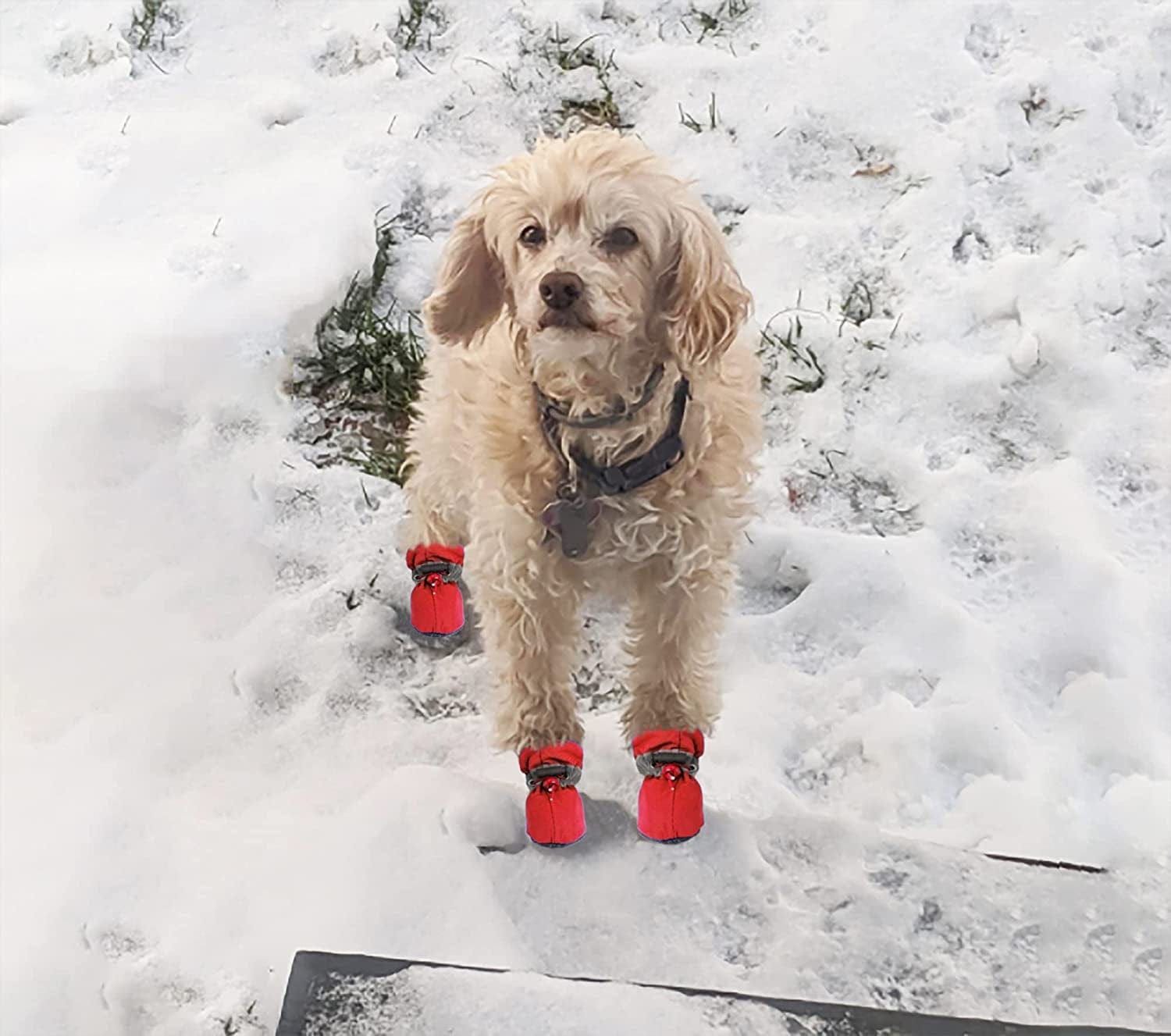 YAODHAOD Dog Shoes for Small Dogs Anti-Slip Dogs Boots & Paw Protector with Reflective Straps Winter Snow Puppy Booties, Cat Dog Shoes for Small and Medium Pets 4PCS (Size 7: 2.35"X1.97", Red) Animals & Pet Supplies > Pet Supplies > Dog Supplies > Dog Apparel YAODHAOD   