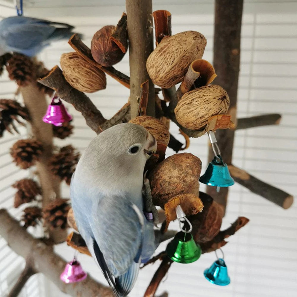 Ybeauty Bird Toy with Bell Teeth Molar Natural Wood Parrot Hanging Foraging Toys Bird Supplies Animals & Pet Supplies > Pet Supplies > Bird Supplies > Bird Toys Ybeauty   