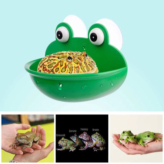 Ybeauty Reptile Feeder with Suction Cup Pet Landscaping Plastic Frog Tortoise Amphibian Rest Living Container Pet Supplies