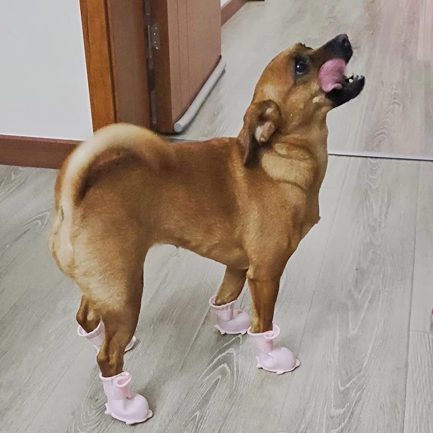Yeduzyn 4Pcs Waterproof Dog Boots Dog Shoes for Snow and Rain Teddy Pomeranian Bichon Small Dogs Size Runs Small Please Check the Boots Size Carefully(Pink, Large) Animals & Pet Supplies > Pet Supplies > Dog Supplies > Dog Apparel Yeduzyn   
