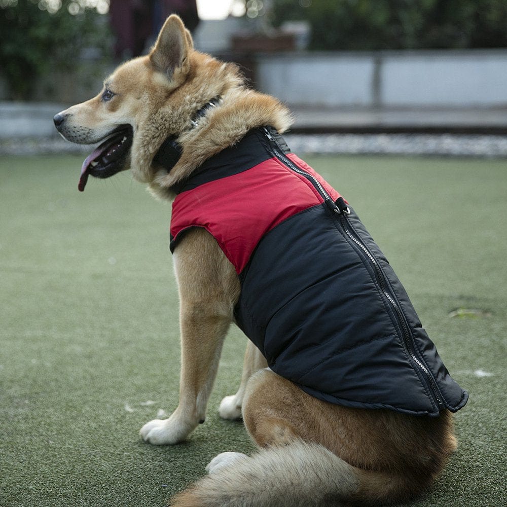 Yesbay Winter Pet Dog Puppy Clothes Zipper Vest T-Shirt Apparel Buckle Casual Coat,Pink