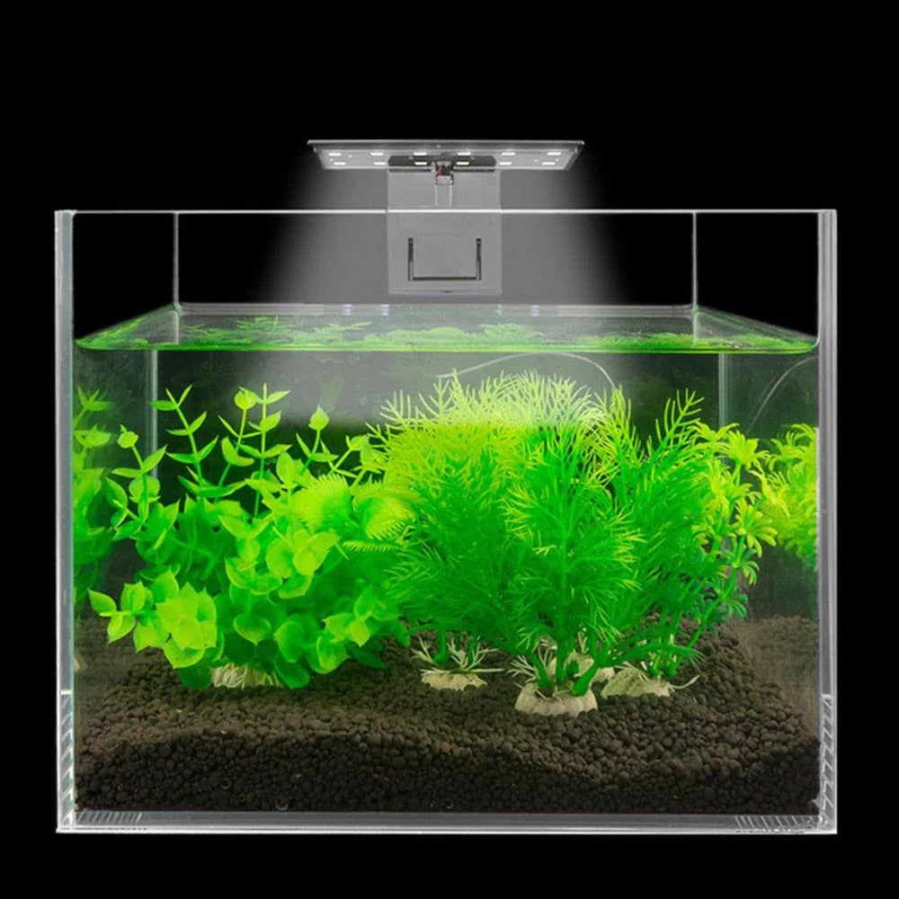 YEUHTLL European Plug Fish Tank LED Clip Light Aquariums Lighting Aquatic Plant Clip-On Lamp Aquarium LED Light for Fish Keeping Animals & Pet Supplies > Pet Supplies > Fish Supplies > Aquarium Lighting YEUHTLL   