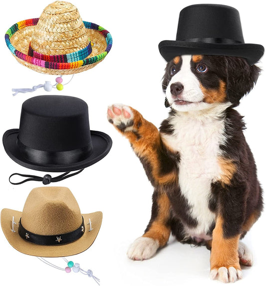 Yewong 3 Pieces Pet Hat Pet Formal Top Hat Mexico Sombrero Hat Cowboy Hat Dog Cat Pet Costume Hat for Halloween Party Photo Props Supplies Animals & Pet Supplies > Pet Supplies > Dog Supplies > Dog Apparel Yewong   