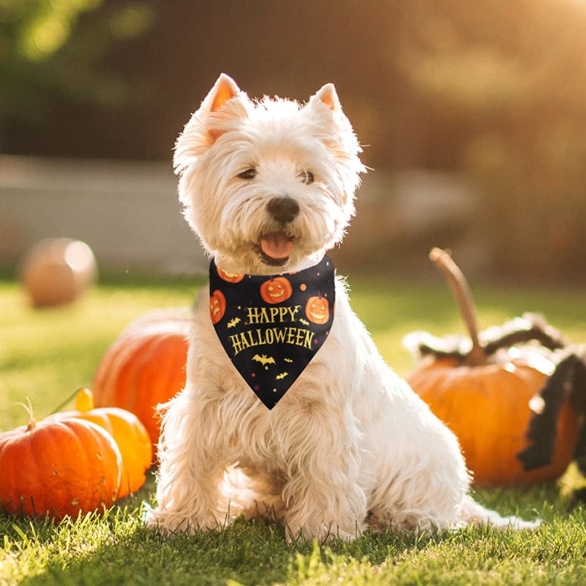 Yicostar Halloween Dog Bandanas, 2 Pack Pumpkin Reversible Dog Bandanas Triangle Bibs Pet Scarf Accessories for Small Medium Large Dogs and Cats Animals & Pet Supplies > Pet Supplies > Dog Supplies > Dog Apparel Yicostar   