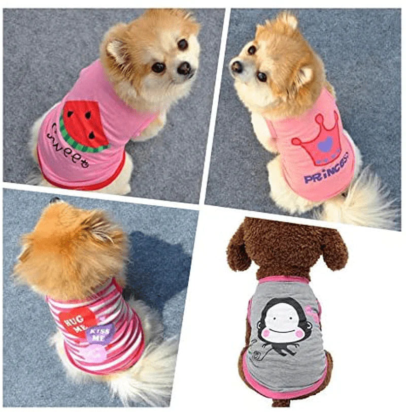 Xs small best sale dog clothes