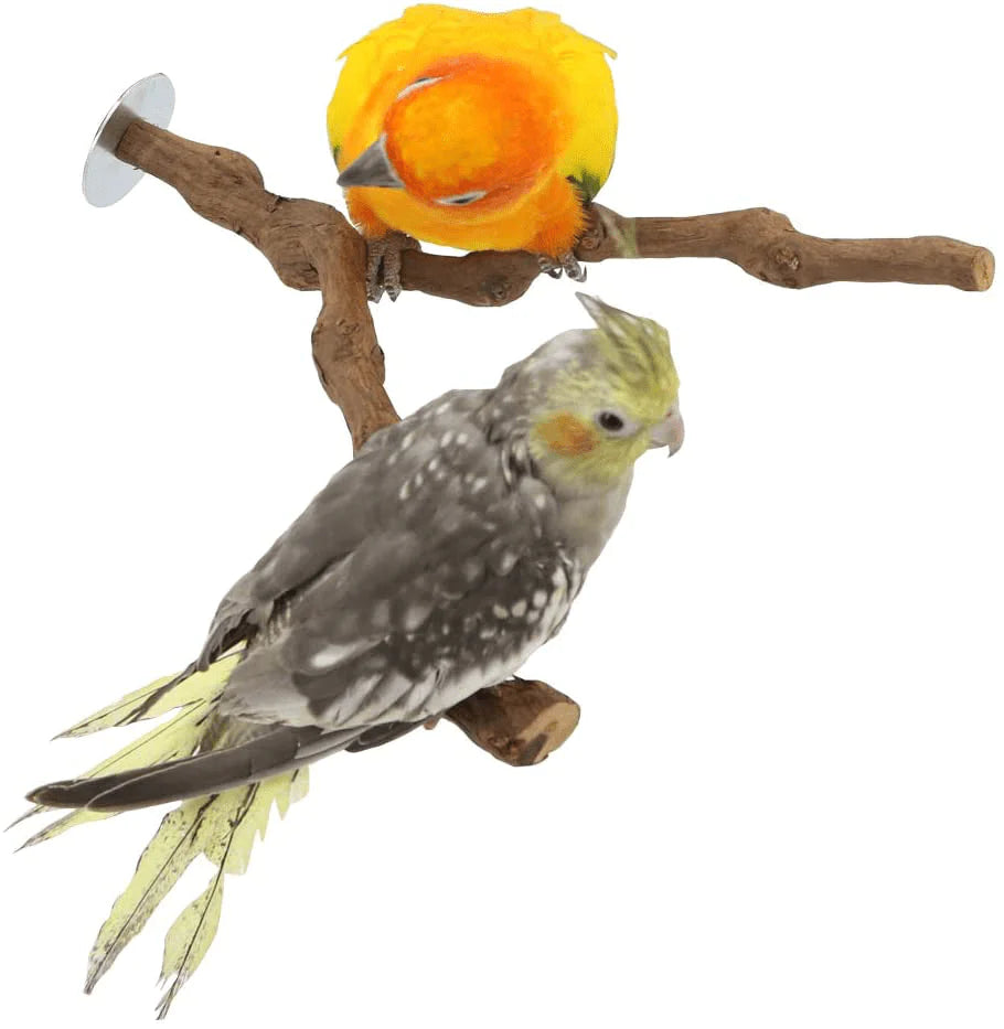 YINGGE Wood Bird Stand Perch, Natural Wild Grape Stick Paw Grinding Standing Climbing Branch Toy Cage Accessories for Small and Medium Parrots Parakeets Cockatiels Lovebirds Sun Conures Caique Animals & Pet Supplies > Pet Supplies > Bird Supplies > Bird Ladders & Perches YINGGE   