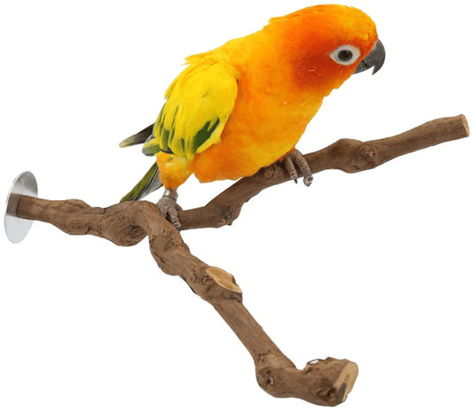 YINGGE Wood Bird Stand Perch, Natural Wild Grape Stick Paw Grinding Standing Climbing Branch Toy Cage Accessories for Small and Medium Parrots Parakeets Cockatiels Lovebirds Sun Conures Caique
