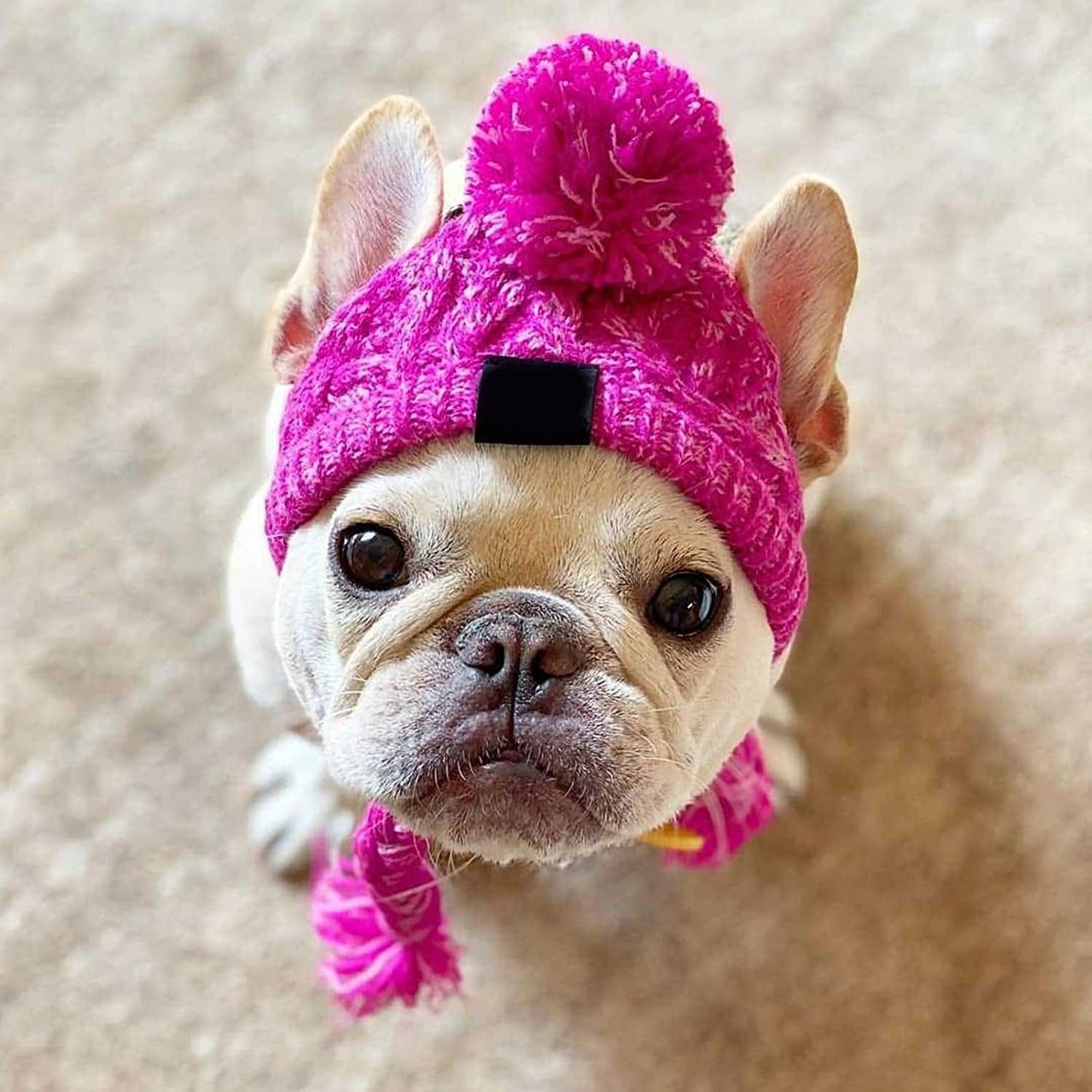 Yirtree Winter Dog Hats Cute Skin-Friendly Classic Warm Knit Dog Hats Accessory Compatible with Cat Pink M Animals & Pet Supplies > Pet Supplies > Dog Supplies > Dog Apparel Yirtree   