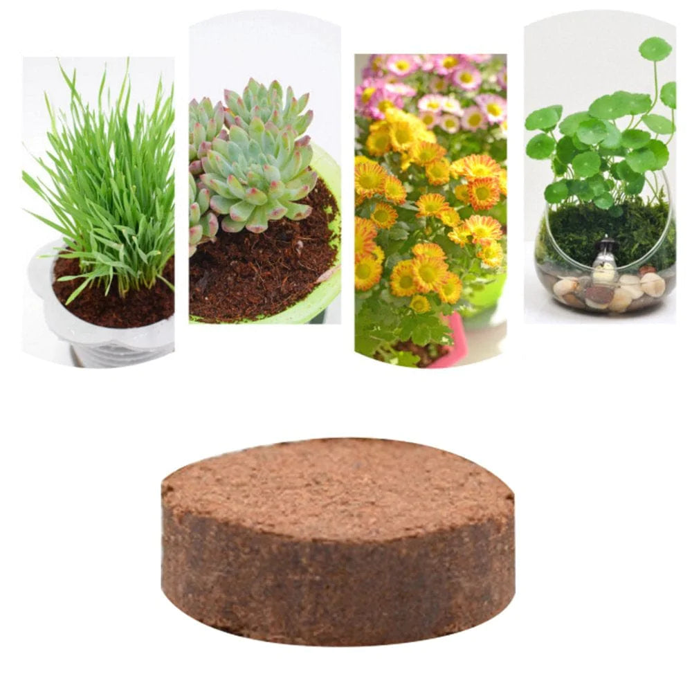 YMILEMY 5Pcs Tortoise Substrate Brick Natural Coir Discs Reptile Aquarium Ornaments Animals & Pet Supplies > Pet Supplies > Fish Supplies > Aquarium Gravel & Substrates YMILEMY   