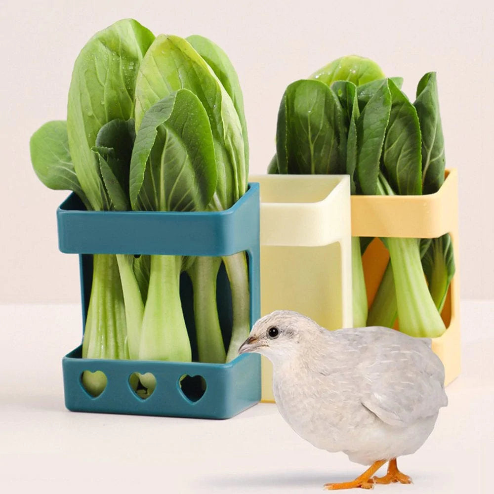 YMILEMY Bird Fruit Holder Cuttlebone Basket with Screw & Gasket Easy to Install in Cage