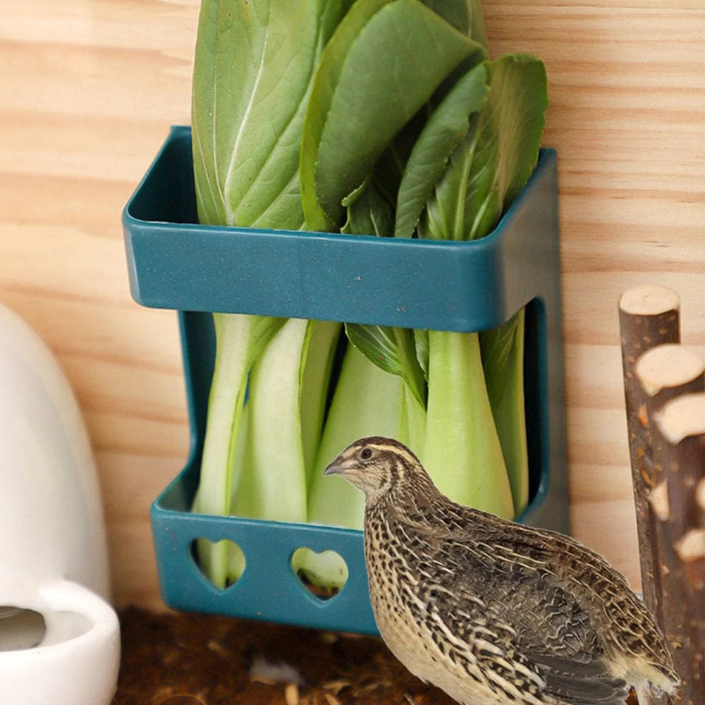 YMILEMY Bird Fruit Holder Cuttlebone Basket with Screw & Gasket Easy to Install in Cage Animals & Pet Supplies > Pet Supplies > Bird Supplies > Bird Treats YMILEMY   