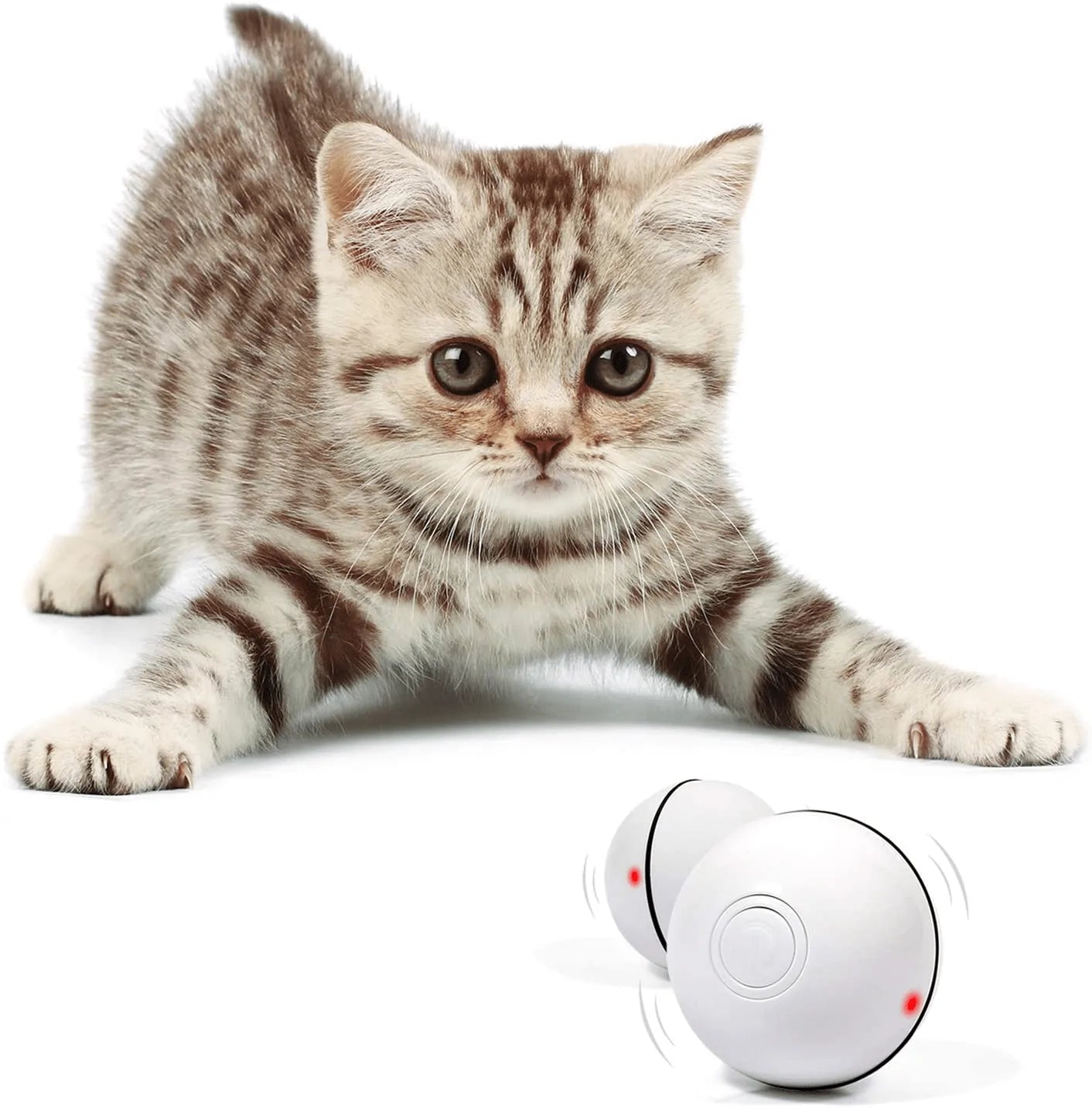 YOFUN Smart Interactive Cat Toy - Newest Version 360 Degree Self Rotating Ball, USB Rechargeable Pet Toy, Build-In Spinning Led Light, Stimulate Hunting Instinct for Your Kitty Animals & Pet Supplies > Pet Supplies > Cat Supplies > Cat Toys Y YOFUN White  