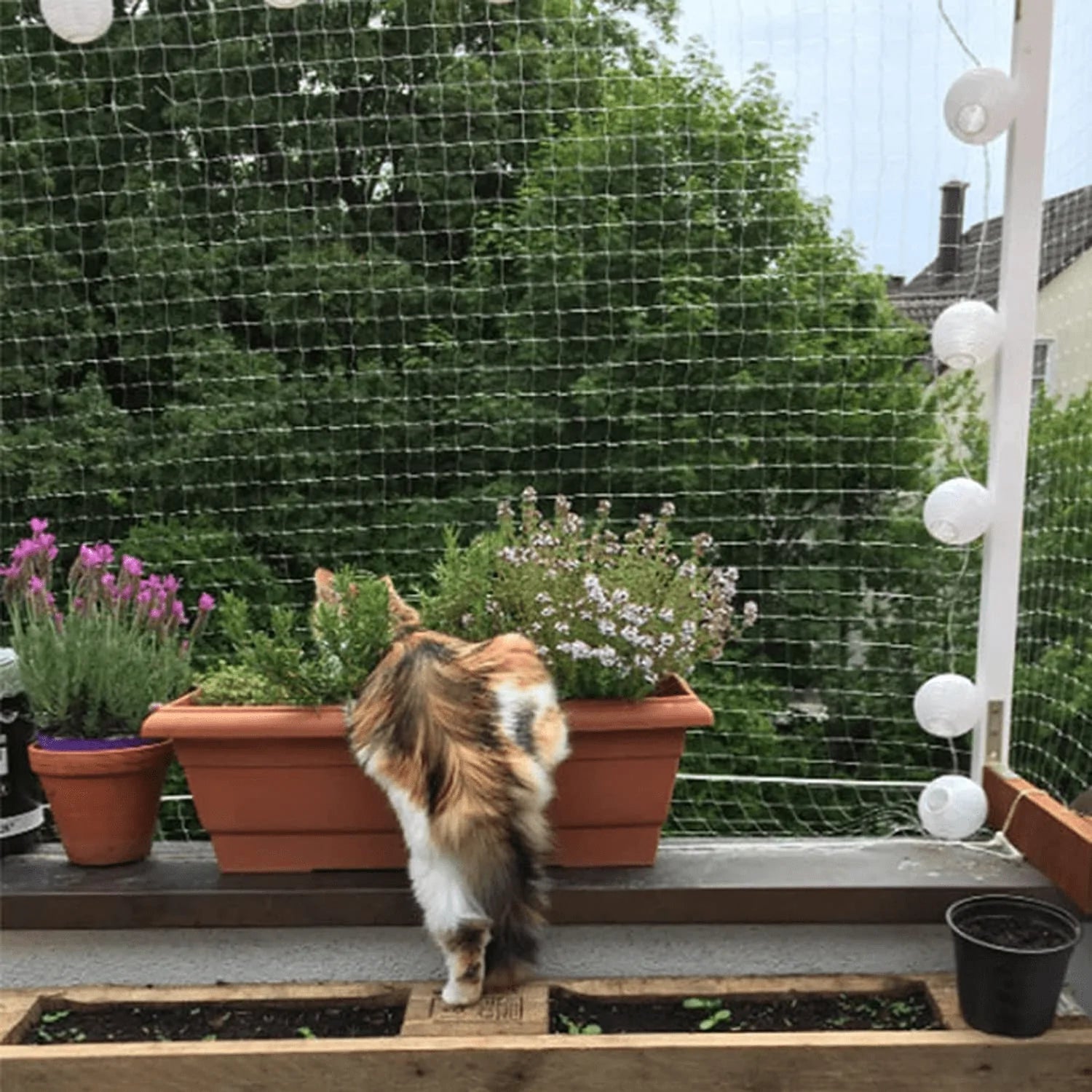 YOKMO Filet de balcon pour chat Filet de clôture anti-chute pour chien –  KOL PET