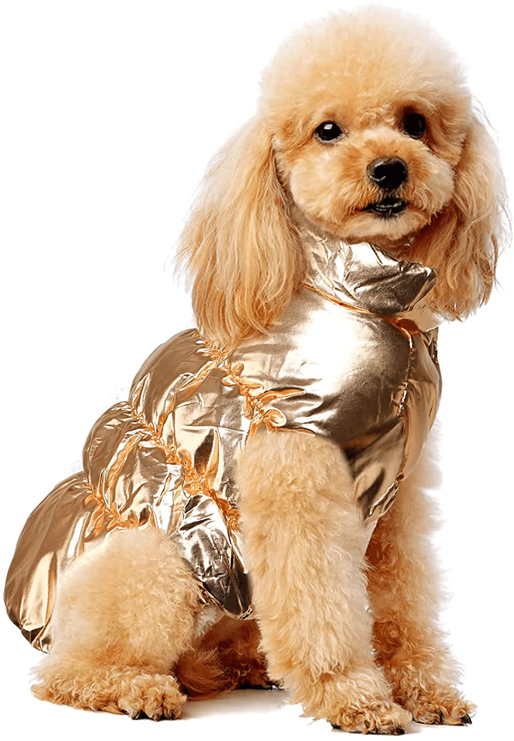 Yoogl Dog Winter Jacket Waterproof Dog Cold Weather Coats Warm Dog Sno KOL PET