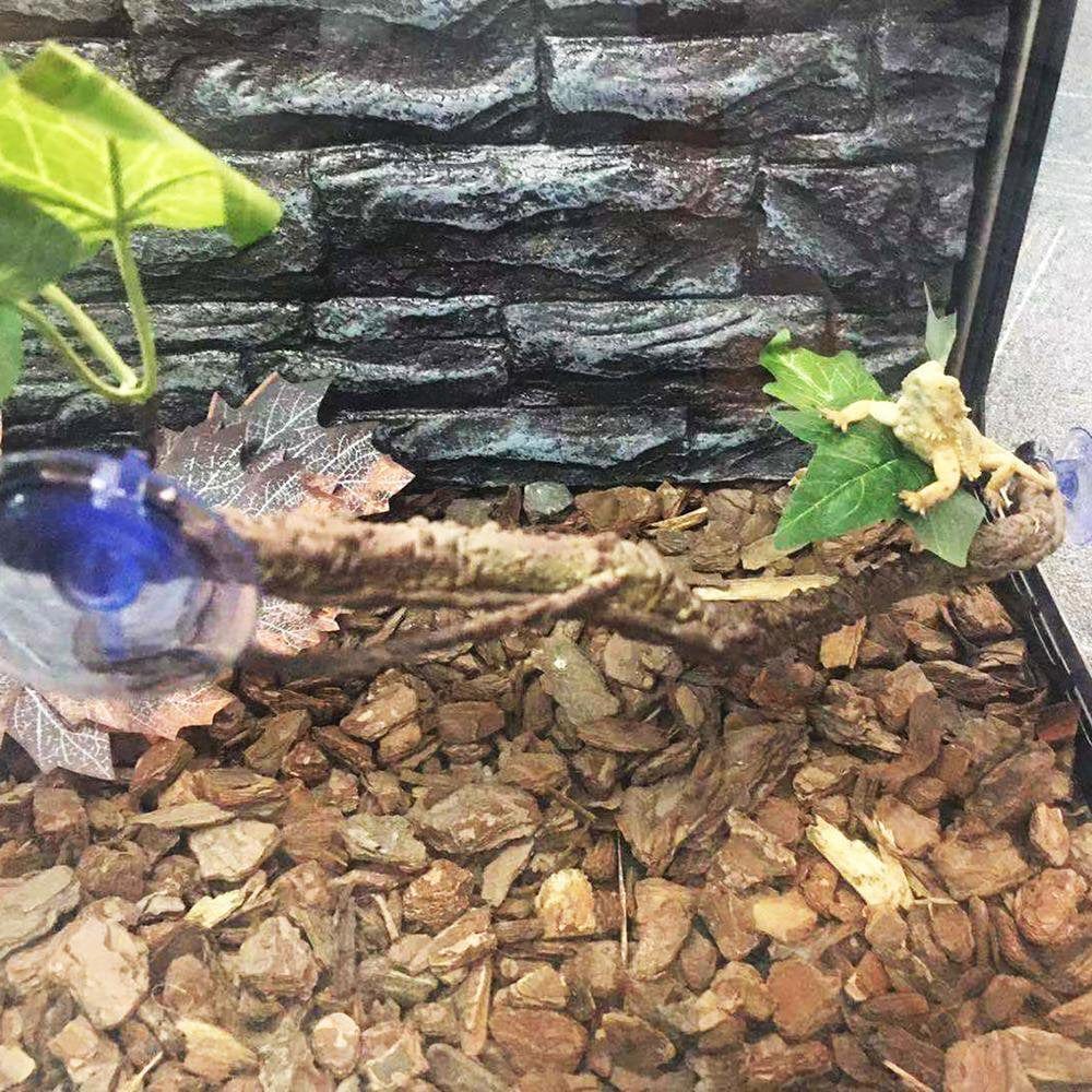 Younar 2Pcs Reptile Corner Branch Vines Plants Flexible Jungle Climbing Vine Habitat Decor Accessories for Climbing Lizard Bearded Dragon Chameleon Lizards Snakes 17.7In Well-Liked Animals & Pet Supplies > Pet Supplies > Small Animal Supplies > Small Animal Habitat Accessories Younar   