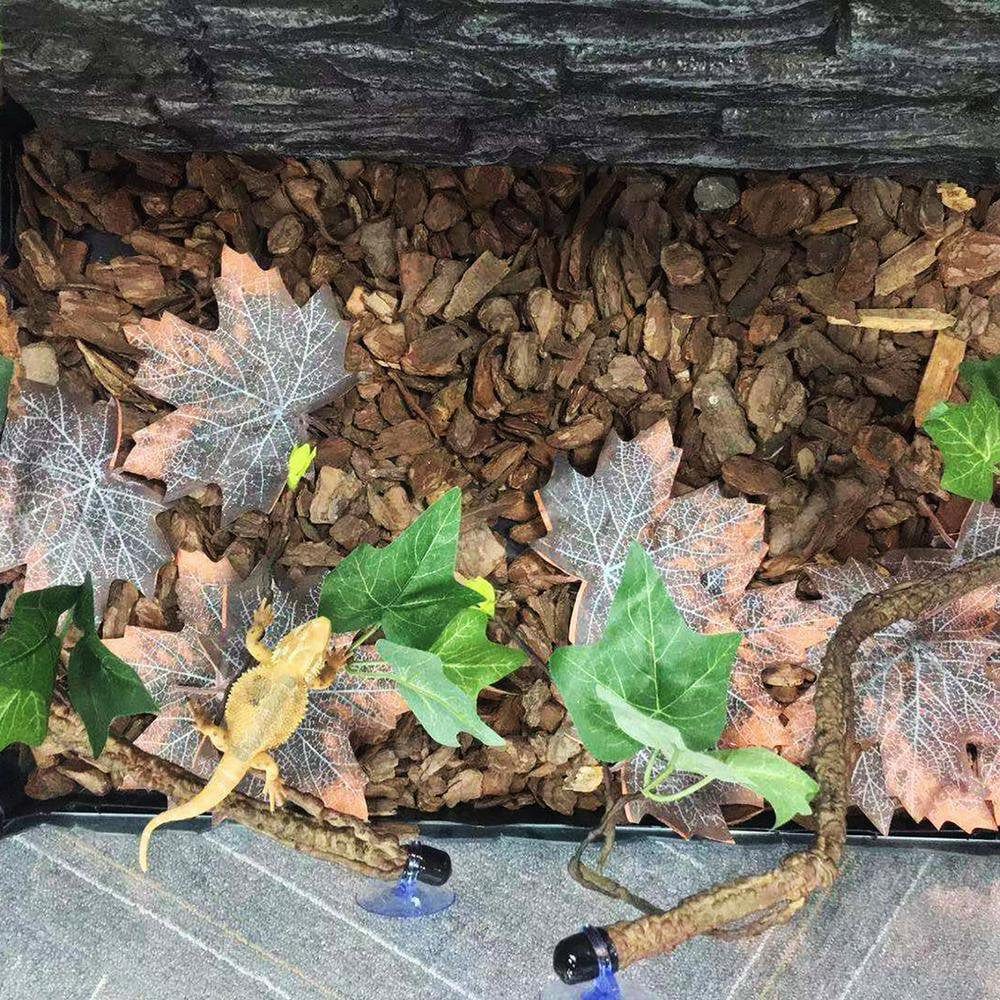 Younar 2Pcs Reptile Corner Branch Vines Plants Flexible Jungle Climbing Vine Habitat Decor Accessories for Climbing Lizard Bearded Dragon Chameleon Lizards Snakes 17.7In Well-Liked Animals & Pet Supplies > Pet Supplies > Small Animal Supplies > Small Animal Habitat Accessories Younar   