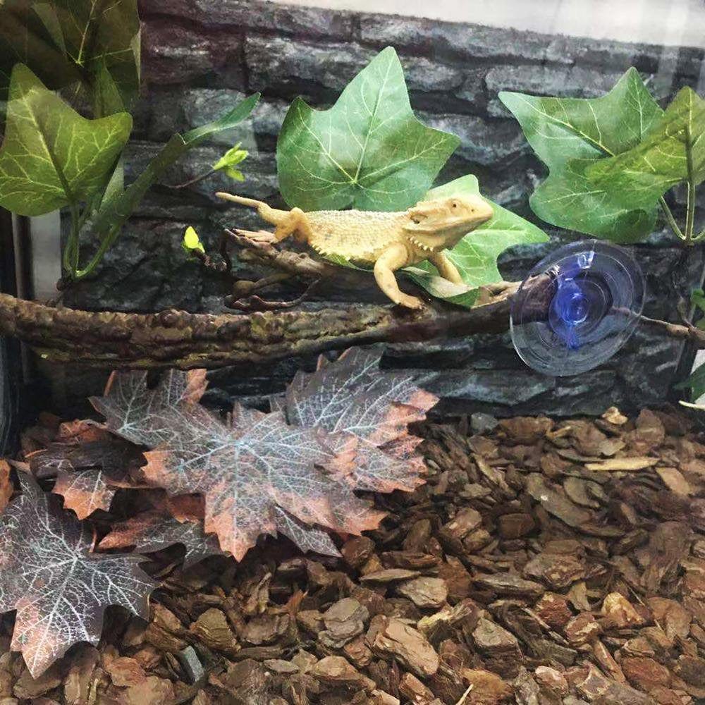 Younar 2Pcs Reptile Corner Branch Vines Plants Flexible Jungle Climbing Vine Habitat Decor Accessories for Climbing Lizard Bearded Dragon Chameleon Lizards Snakes 17.7In Well-Liked Animals & Pet Supplies > Pet Supplies > Small Animal Supplies > Small Animal Habitat Accessories Younar   