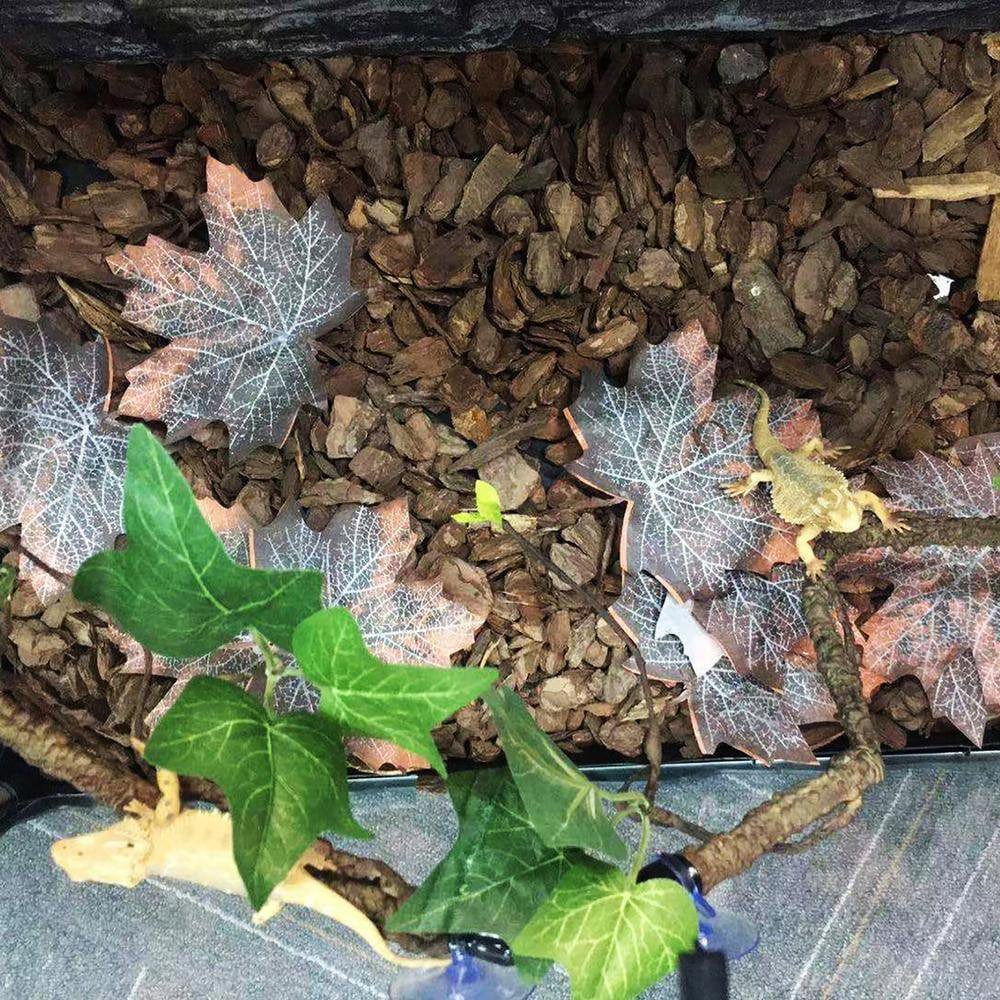 Younar 2Pcs Reptile Corner Branch Vines Plants Flexible Jungle Climbing Vine Habitat Decor Accessories for Climbing Lizard Bearded Dragon Chameleon Lizards Snakes 17.7In Well-Liked Animals & Pet Supplies > Pet Supplies > Small Animal Supplies > Small Animal Habitat Accessories Younar   