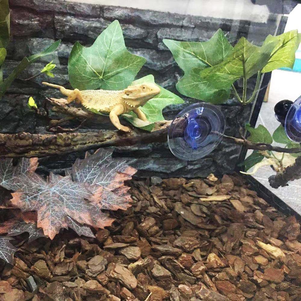 Younar 2Pcs Reptile Corner Branch Vines Plants Flexible Jungle Climbing Vine Habitat Decor Accessories for Climbing Lizard Bearded Dragon Chameleon Lizards Snakes 17.7In Well-Liked Animals & Pet Supplies > Pet Supplies > Small Animal Supplies > Small Animal Habitat Accessories Younar   