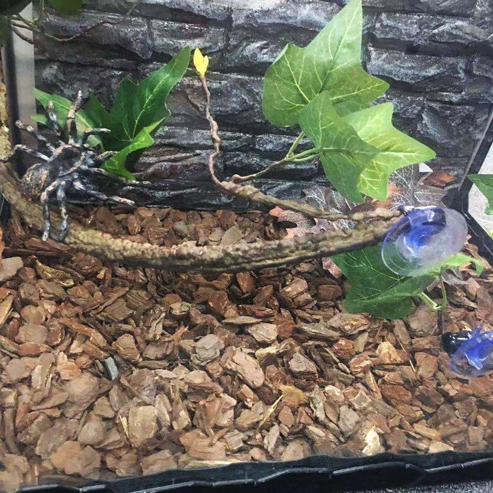 Younar 2Pcs Reptile Corner Branch Vines Plants Flexible Jungle Climbing Vine Habitat Decor Accessories for Climbing Lizard Bearded Dragon Chameleon Lizards Snakes 17.7In Well-Liked Animals & Pet Supplies > Pet Supplies > Small Animal Supplies > Small Animal Habitat Accessories Younar   