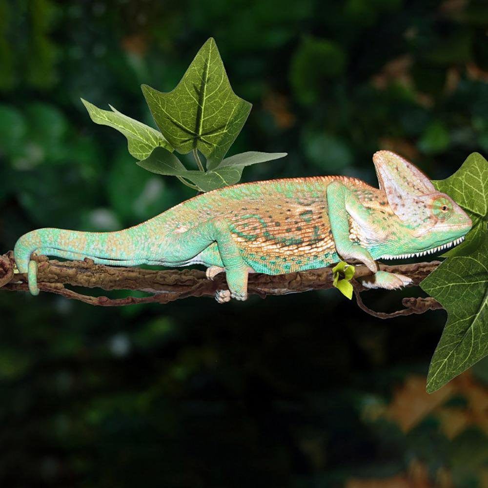 Younar 2Pcs Reptile Corner Branch Vines Plants Flexible Jungle Climbing Vine Habitat Decor Accessories for Climbing Lizard Bearded Dragon Chameleon Lizards Snakes 17.7In Well-Liked Animals & Pet Supplies > Pet Supplies > Small Animal Supplies > Small Animal Habitat Accessories Younar   