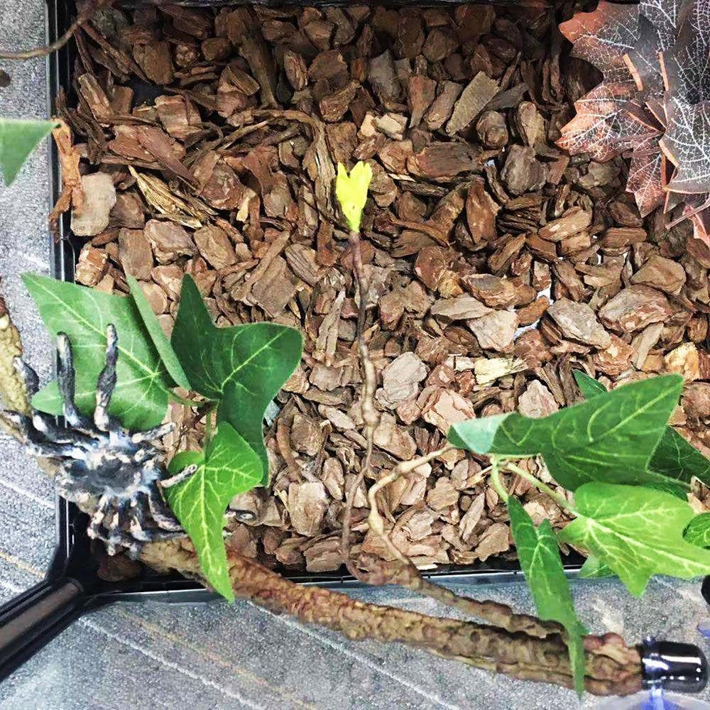 Younar 2Pcs Reptile Corner Branch Vines Plants Flexible Jungle Climbing Vine Habitat Decor Accessories for Climbing Lizard Bearded Dragon Chameleon Lizards Snakes 17.7In Well-Liked Animals & Pet Supplies > Pet Supplies > Small Animal Supplies > Small Animal Habitat Accessories Younar   