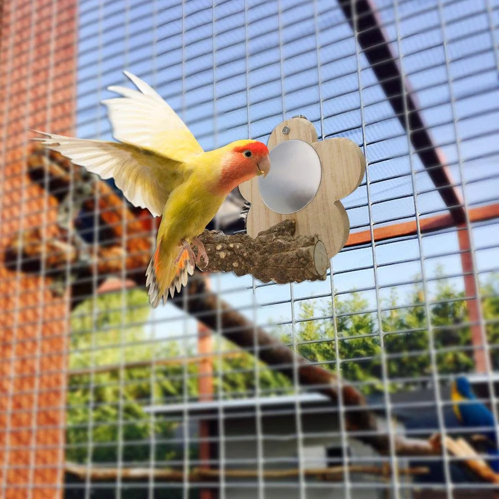 Younar Flower Bird Mirror with Perch Bird Parakeet Mirror for Cage Bird Stand Mirror Toys Birdcage Fun for Conure Cockatiel Budgie Gerbil African Grey Macaw Gorgeously Animals & Pet Supplies > Pet Supplies > Bird Supplies > Bird Cages & Stands Younar   