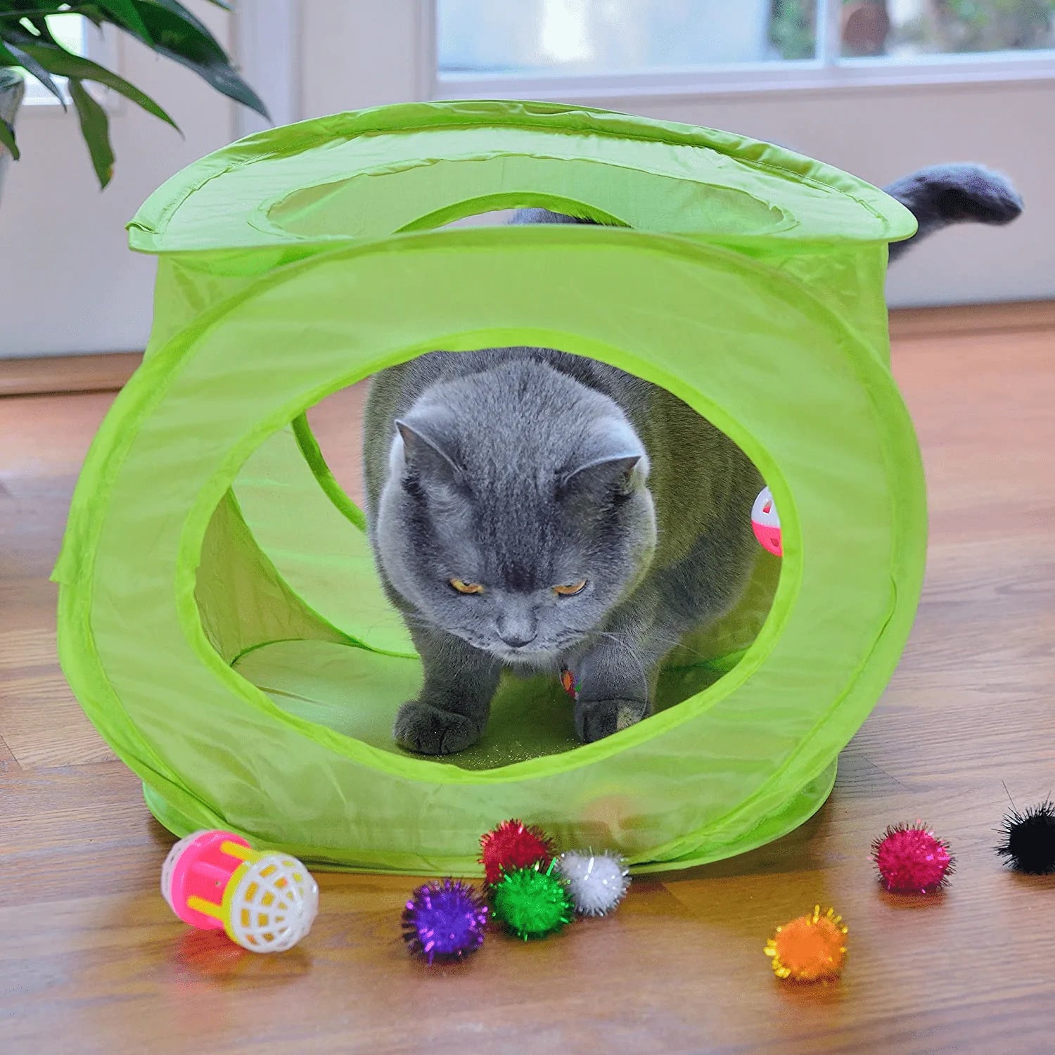 Youngever 18 Cat Toys Kitten Toys Assortments, Cat Teaser Wand, Interactive Bell Toy, Sparkle Balls for Cat, Puppy, Kitty, Kitten Animals & Pet Supplies > Pet Supplies > Cat Supplies > Cat Toys Youngever LLC   