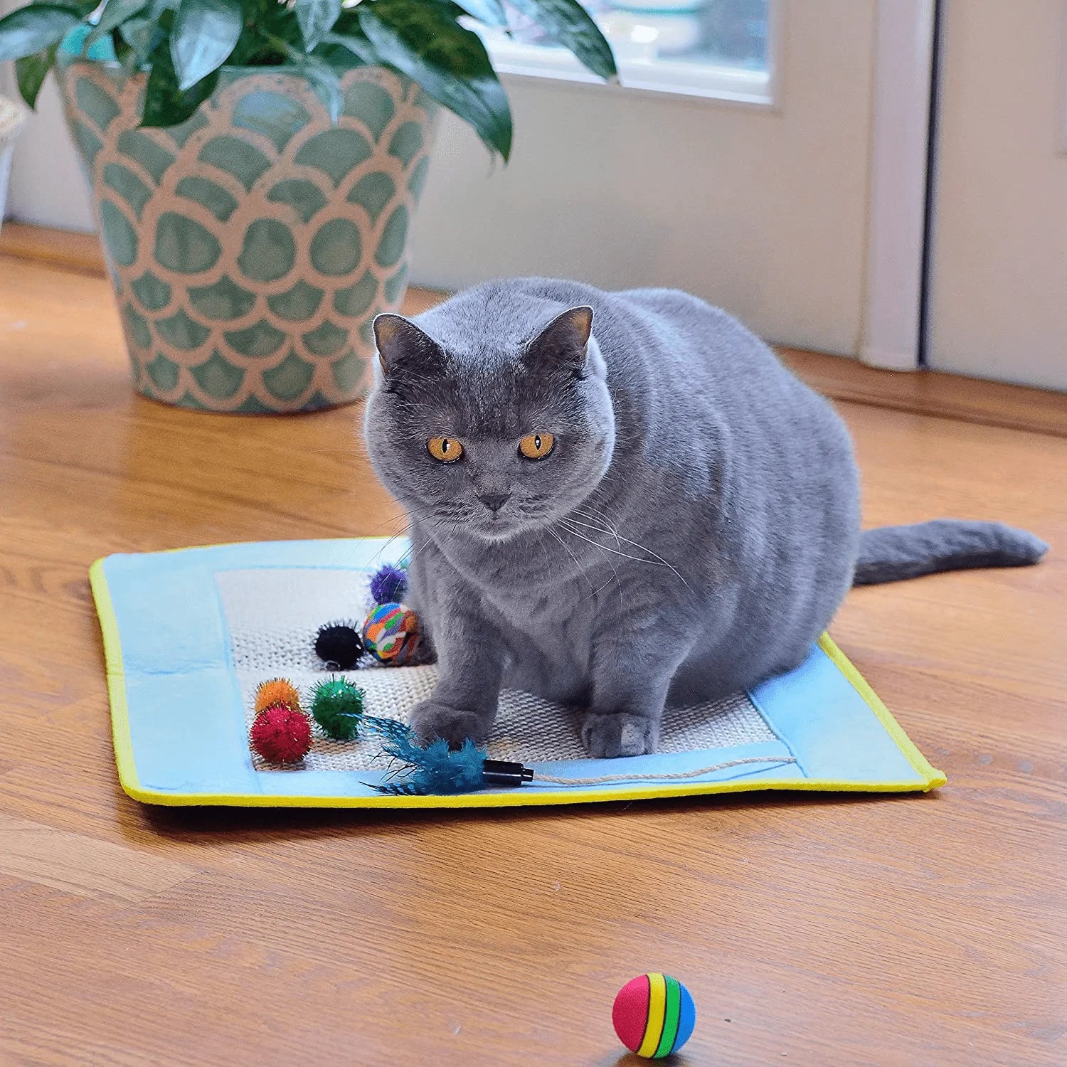 Youngever 18 Cat Toys Kitten Toys Assortments, Cat Teaser Wand, Interactive Bell Toy, Sparkle Balls for Cat, Puppy, Kitty, Kitten Animals & Pet Supplies > Pet Supplies > Cat Supplies > Cat Toys Youngever LLC   