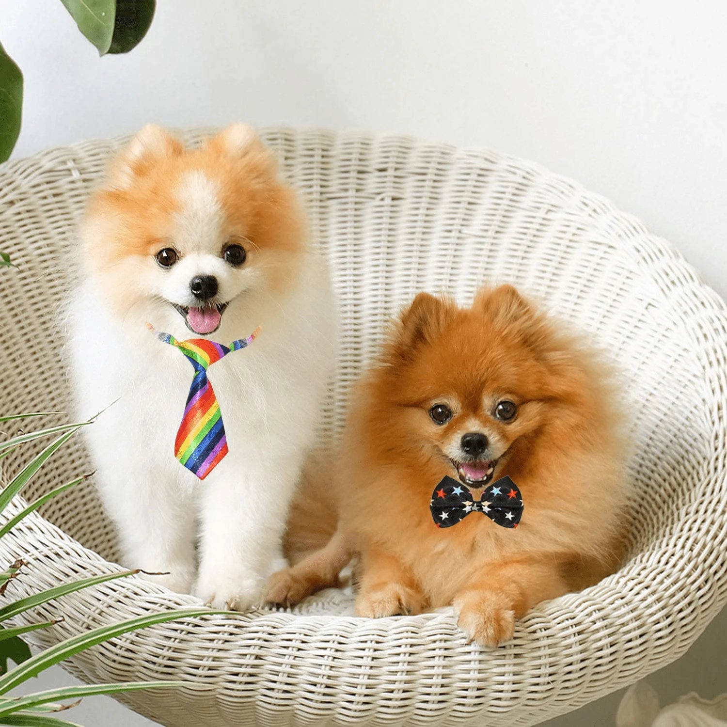 Dog bow best sale ties bulk