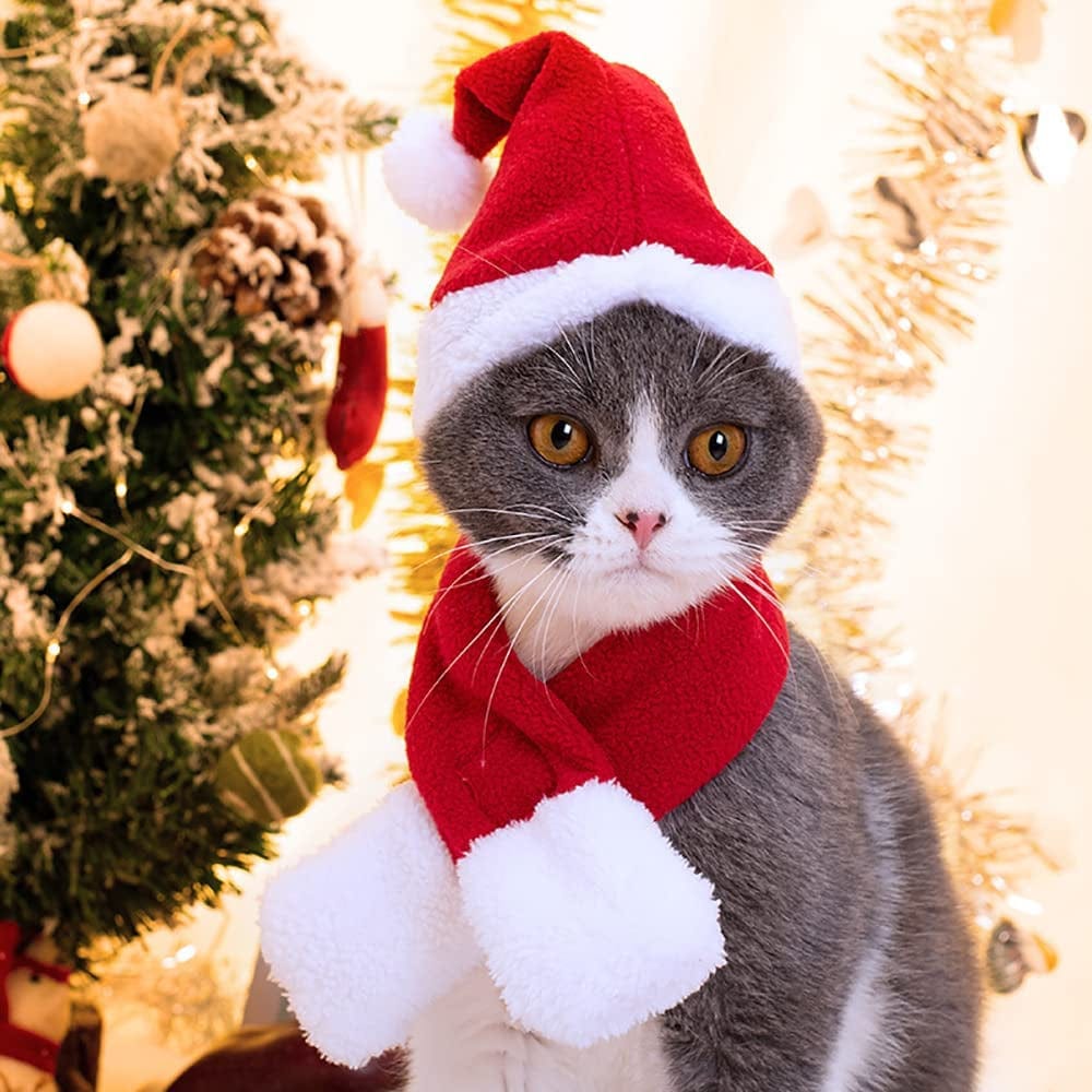 YUJUN 2PCS Cat Christmas Costume Christmas Pet Santa Hat with Scarf Outfit for Puppy Kitten Christmas Party Costume Supplies Animals & Pet Supplies > Pet Supplies > Dog Supplies > Dog Apparel YUJUN   