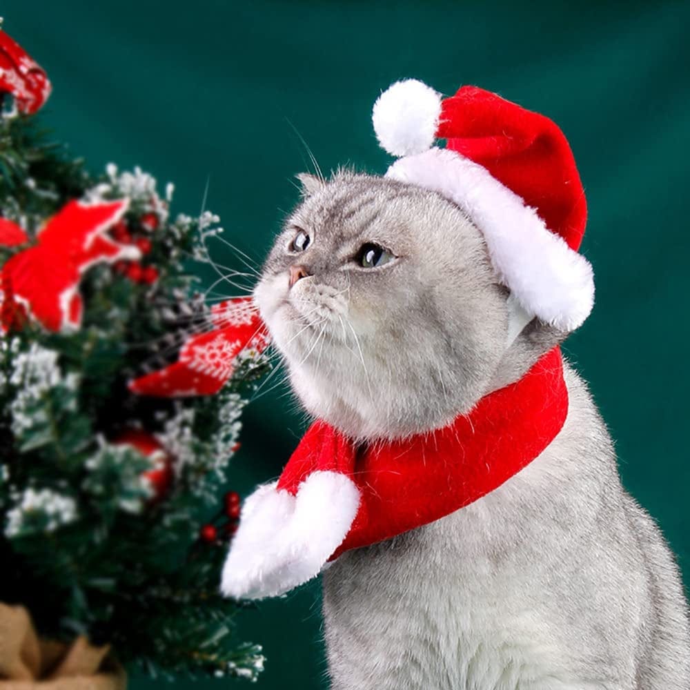 YUJUN 2PCS Cat Christmas Costume Christmas Pet Santa Hat with Scarf Outfit for Puppy Kitten Christmas Party Costume Supplies Animals & Pet Supplies > Pet Supplies > Dog Supplies > Dog Apparel YUJUN   