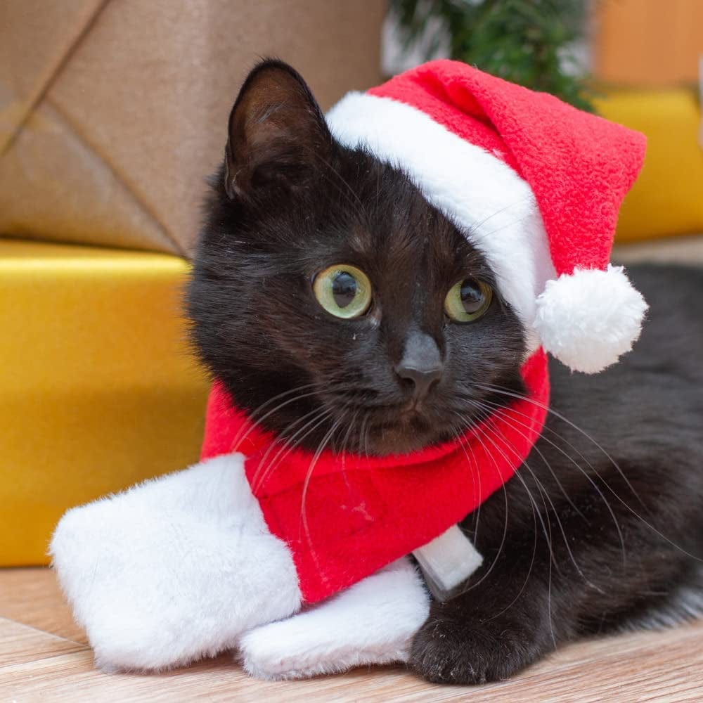 YUJUN 2PCS Cat Christmas Costume Christmas Pet Santa Hat with Scarf Outfit for Puppy Kitten Christmas Party Costume Supplies Animals & Pet Supplies > Pet Supplies > Dog Supplies > Dog Apparel YUJUN   