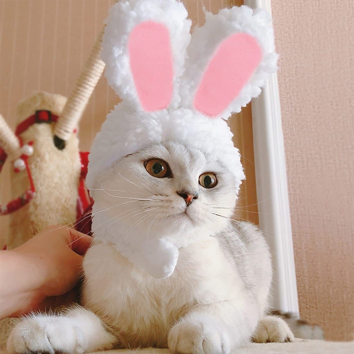 YUJUN Cat Easter Cute Costume Pet Bunny Rabbit Hat with Ears for Cats Small Dogs Puppy Easter Party Costume Accessory Headwear Animals & Pet Supplies > Pet Supplies > Dog Supplies > Dog Apparel YUJUN   